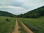 IMG_20260530_111840