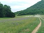 IMG_20260530_113103