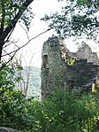 IMG_20260531_072622