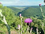 IMG_20260530_174759