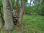 IMG_20260530_155305