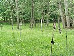 IMG_20260530_155144