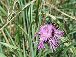 IMG_20260606_125000