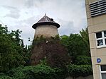 IMG_20260606_074243