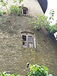 IMG_20260606_074620