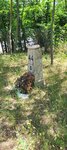 log-image-1780822975584-0