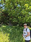 IMG_20260523_110654