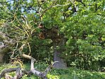 IMG_20260523_110800