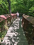 IMG_20260523_135529