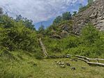 IMG_20260621_113609