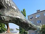 20260628_090703