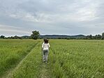 IMG_3292