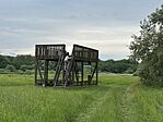 IMG_3294