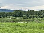 IMG_3297