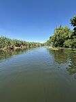 IMG_3445