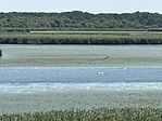 IMG_3435