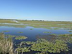 IMG_3483