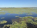 IMG_3486