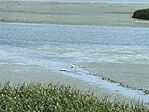 IMG_3426