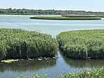 IMG_3427