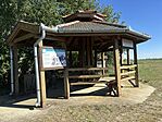 IMG_3474
