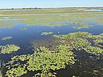 IMG_3485