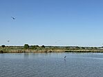 IMG_3494