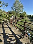 IMG_3501