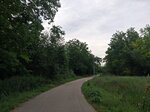 log-image-1780830229184-3
