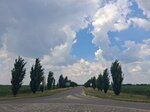 log-image-1782047125247-4
