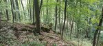 log-image-1780765908157-1