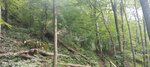 log-image-1780765908155-2