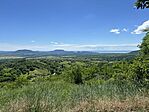 IMG_6202