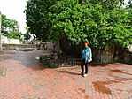 DSC01175