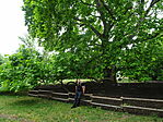 DSC01170