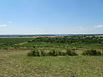 DSC01206