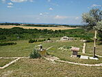 DSC01207