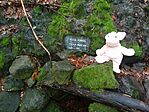 IMG_20260613_121032
