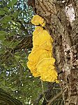 IMG_0084(2)