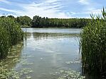 IMG_0090(2)