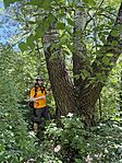 IMG_0094(2)
