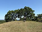 IMG_0098(2)