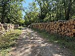 IMG_0099(2)