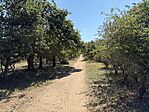 IMG_0103(2)