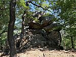 IMG_0106(2)