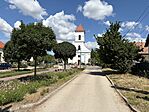 IMG_0113(1)