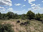 IMG_0115(2)