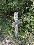 IMG_0121(2)