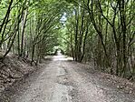 IMG_0125(2)