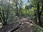IMG_0128(2)